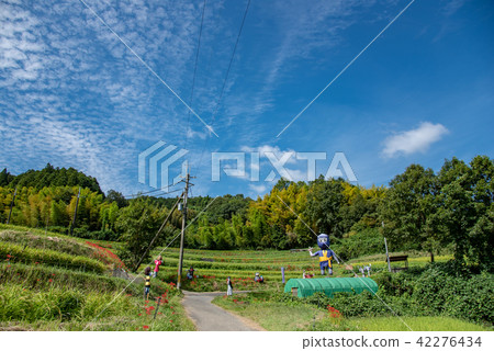 Nara Prefecture Asuka early autumn Satoyama Higishihana and Rice field Scenic mountain Road 42276434