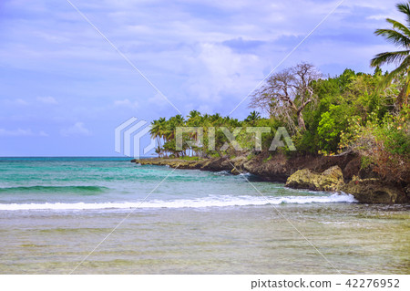 Wild tropical shore. Wild tropical shore. 42276952