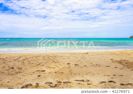 Empty sandy beach with azure sea 42276971