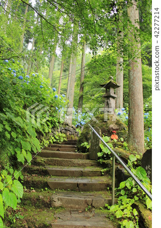 秩父第31號佛教寺廟和Kannonin的接近 42277214