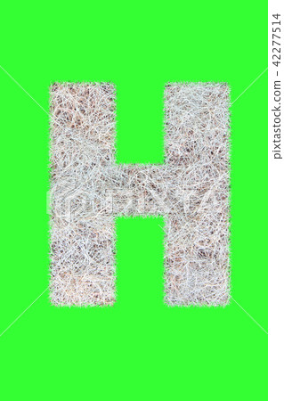 Fonts and Alphabet From Hay Isolate on Green. H. Fonts and Alphabet From Hay Isolate on Green. H. 42277514