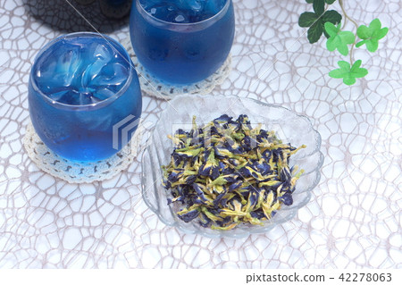 Blue flower tea · Butterfly pea 42278063