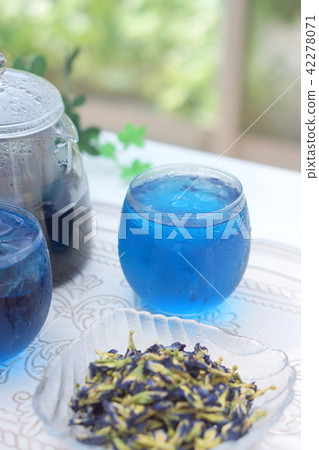 Blue flower tea · Butterfly pea 42278071
