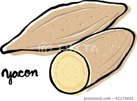 雪蓮果和橫截面 42278601