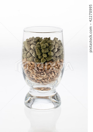 Glass With Malt And Hop 42278995