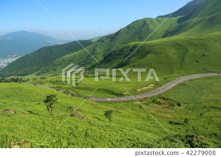 夏天九州過馬路湯布院車道 夏天九州過馬路湯布院車道 42279008