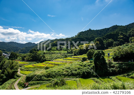 Nara Prefecture Asuka early autumn Satoyama Higishihana and Rice field Scenic mountain Road Nara Prefecture Asuka early autumn Satoyama Higishihana and Rice field Scenic mountain Road 42279106