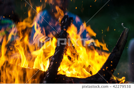 Burning wood 42279538