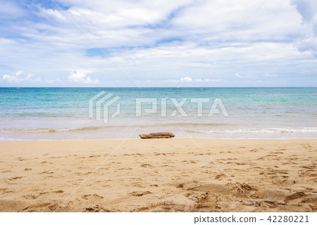 Empty beach with log on the sand 42280221