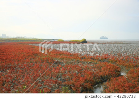 秋天的落葉 42280738