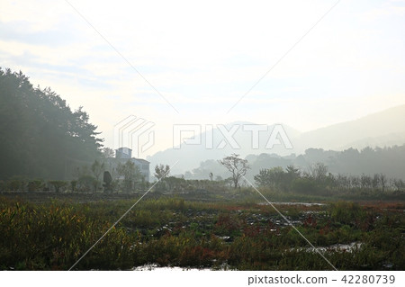 秋天的落葉 秋天的落葉 42280739