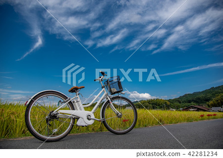 Nara Prefecture Asuka Satoyama in early fall Higanbana and rice field electric bicycle bicycle rental cycle 42281234