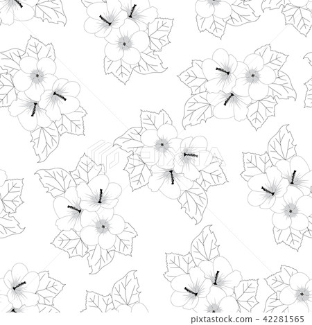 Hibiscus syriacus Flower - Rose of Sharon 42281565