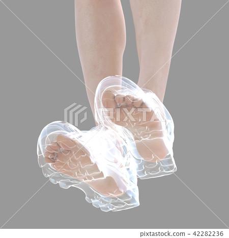 Women's foot sneaker inside perspective perming3DCG real illustration material 42282236