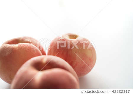 桃子 桃子 42282317