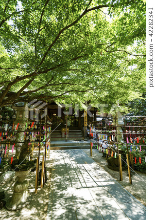 Ryoji Temple (frogs temple) 42282341