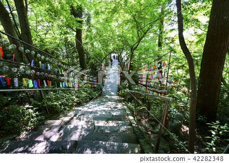 Ryoji Temple (frogs temple) 42282348