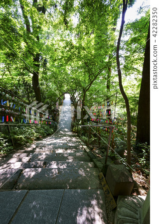 Ryoji寺（青蛙寺） 42282350