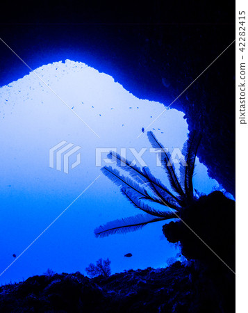 A silhouette of the open ocean and sea lions seen from the cavern under the ocean. Okinawa · Ie Island 42282415