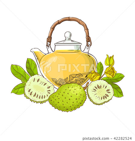 soursop tea illustration 42282524