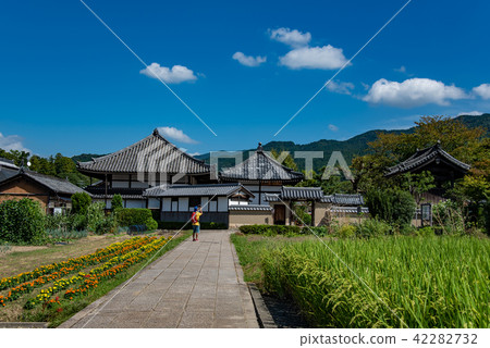 Nara Asuka Make a photo of Asukaji rice paddy rice field autumn photo 42282732