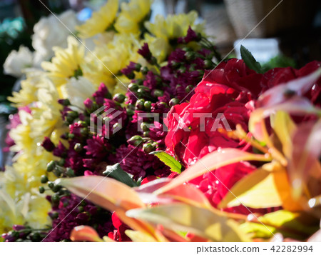 Fresh flowers on shop in Flower Market in Bagan. 42282994
