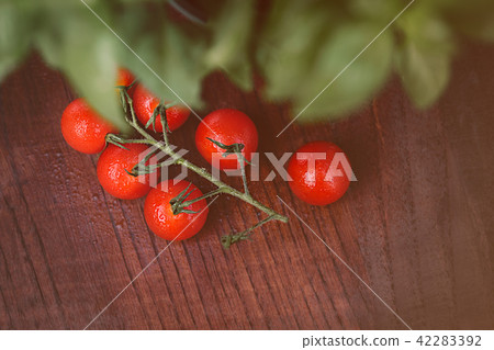 Cherry tomatoes and fresh basil leaves. Cherry tomatoes and fresh basil leaves. 42283392
