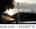 Dusk watering area at dusk 42284735