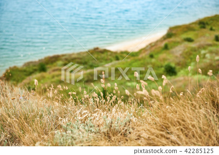 high coast by the sea, beautiful wild landscape  42285125