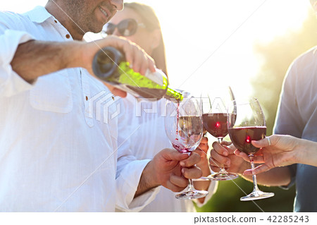 People at wine outdoor party 42285243