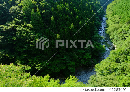 Summer Valley (Kamikitayama Village, Yoshino County, Nara Prefecture) Summer Valley (Kamikitayama Village, Yoshino County, Nara Prefecture) 42285491