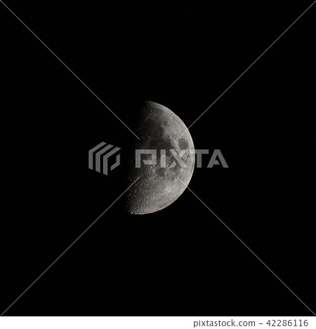 Monday (7.0 age) 42286116