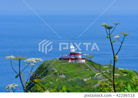 和田山燈塔和Ezoshi Shishido 42286518