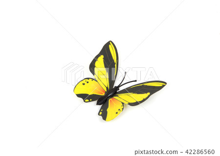 Butterflies isolated on white with soft shadow  42286560