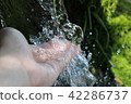 Spring water 42286737