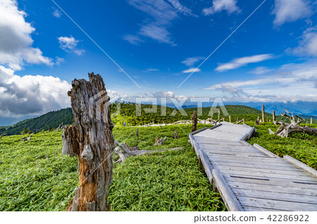 Masakigahara Oshimawahara in the summer Masakigahara Oshimawahara in the summer 42286922