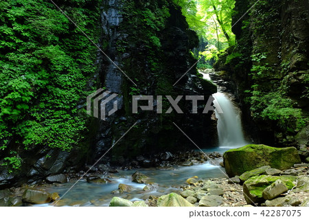 At Sukkanzawa 42287075