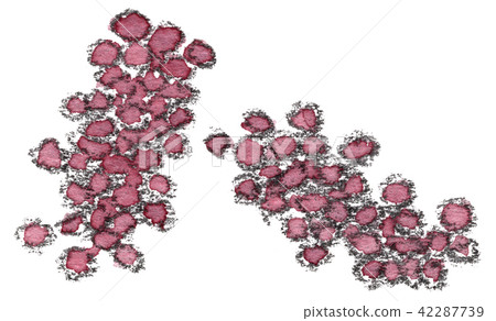 Illustration of grapes (Bunch of Delaware) 42287739