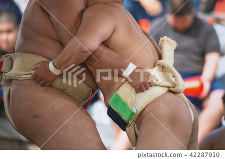 Student sumo 42287910