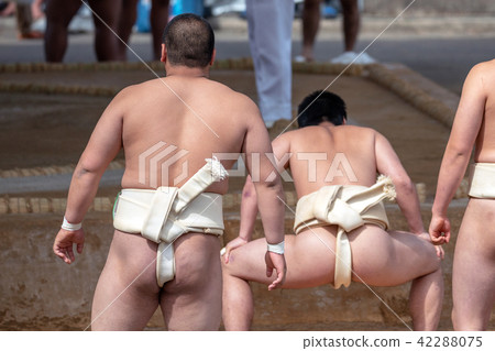 Student sumo 42288075