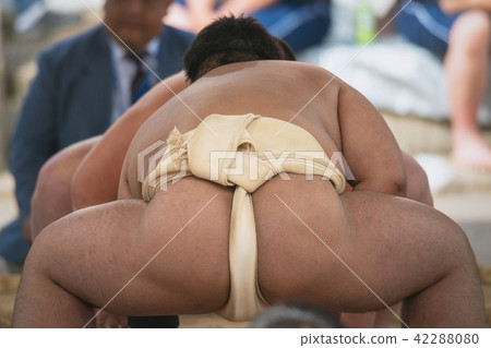 Student sumo 42288080