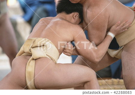 Student sumo 42288083