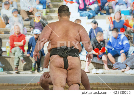 Student sumo Student sumo 42288095