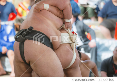 Student sumo 42288100