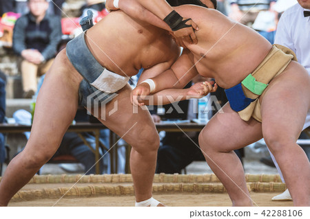 Student sumo 42288106