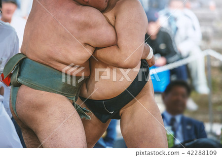 學生相撲 42288109