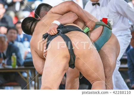 Student sumo 42288110