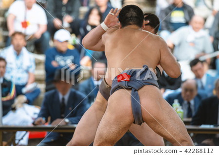 Student sumo 42288112