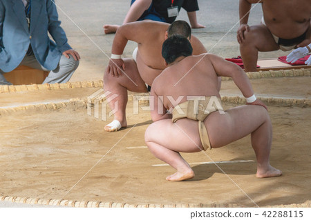Student sumo Student sumo 42288115
