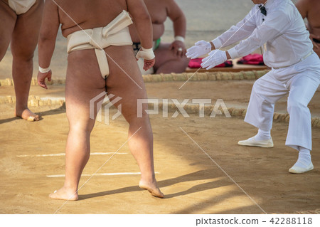 Student sumo Student sumo 42288118